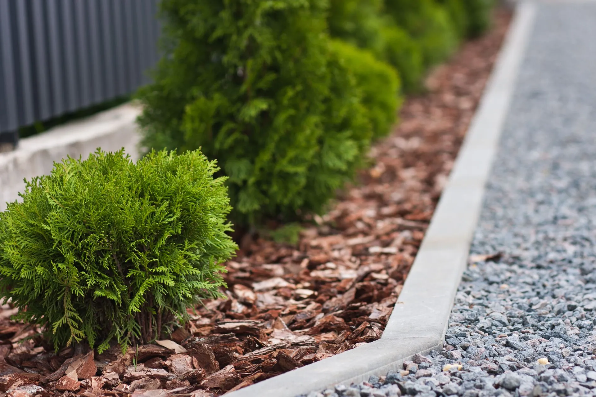 S & S Landscaping photo 2