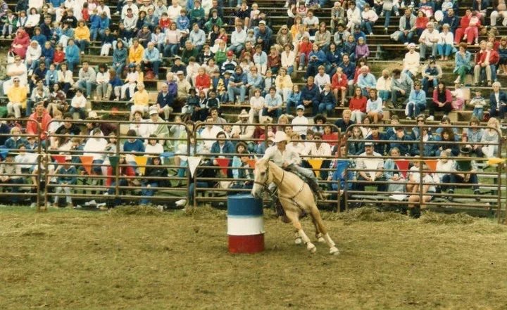Yellow Horse photo 2