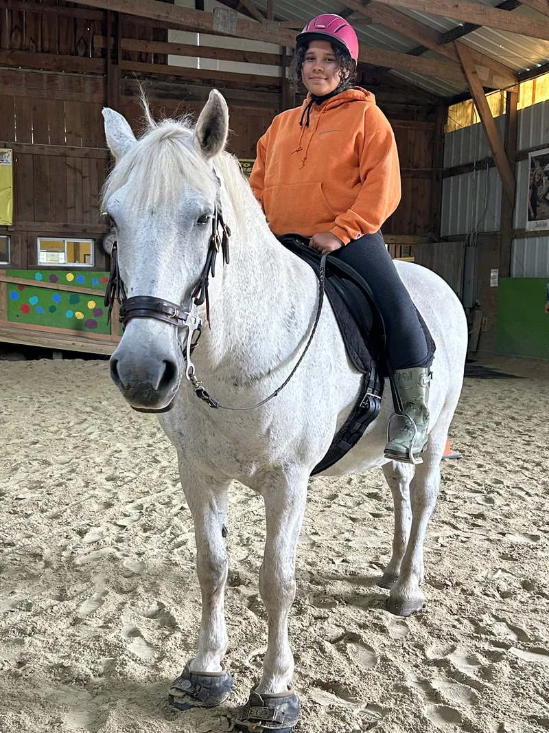 Yellow Horse photo 4