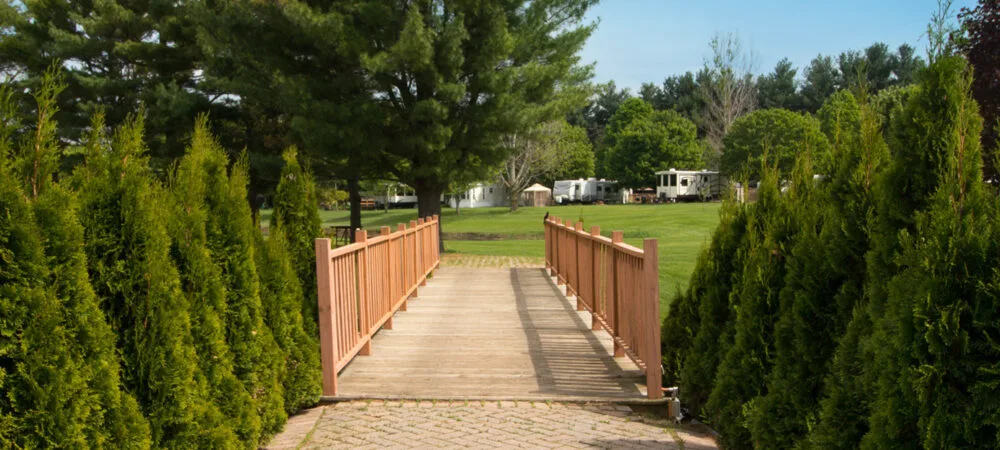 Ashaway Rv Resort photo 3
