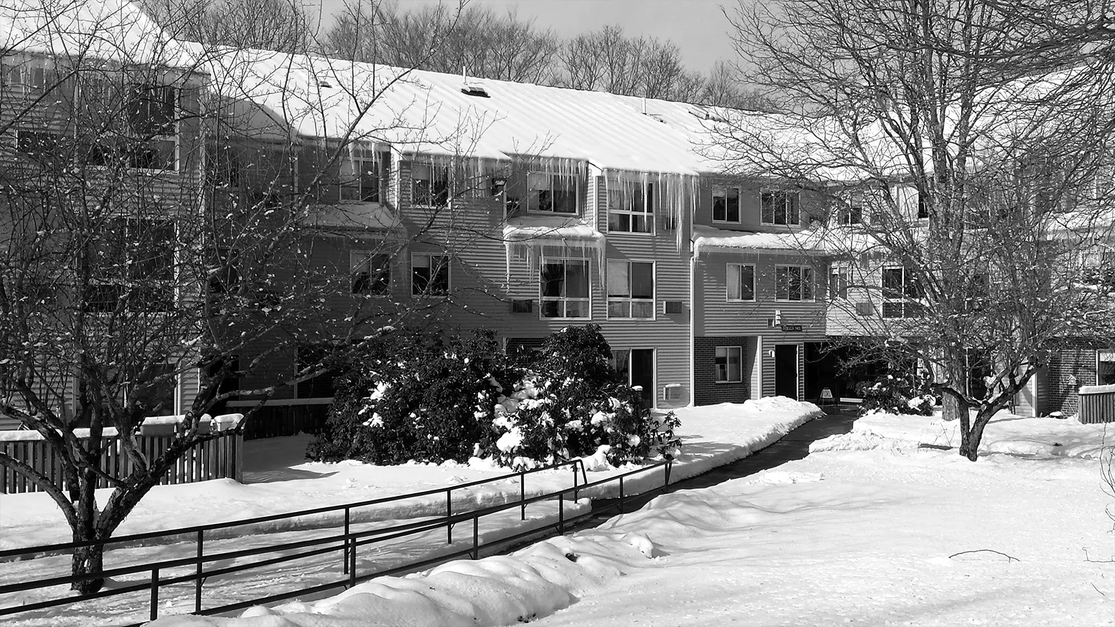 Bowling Lane Development photo 8