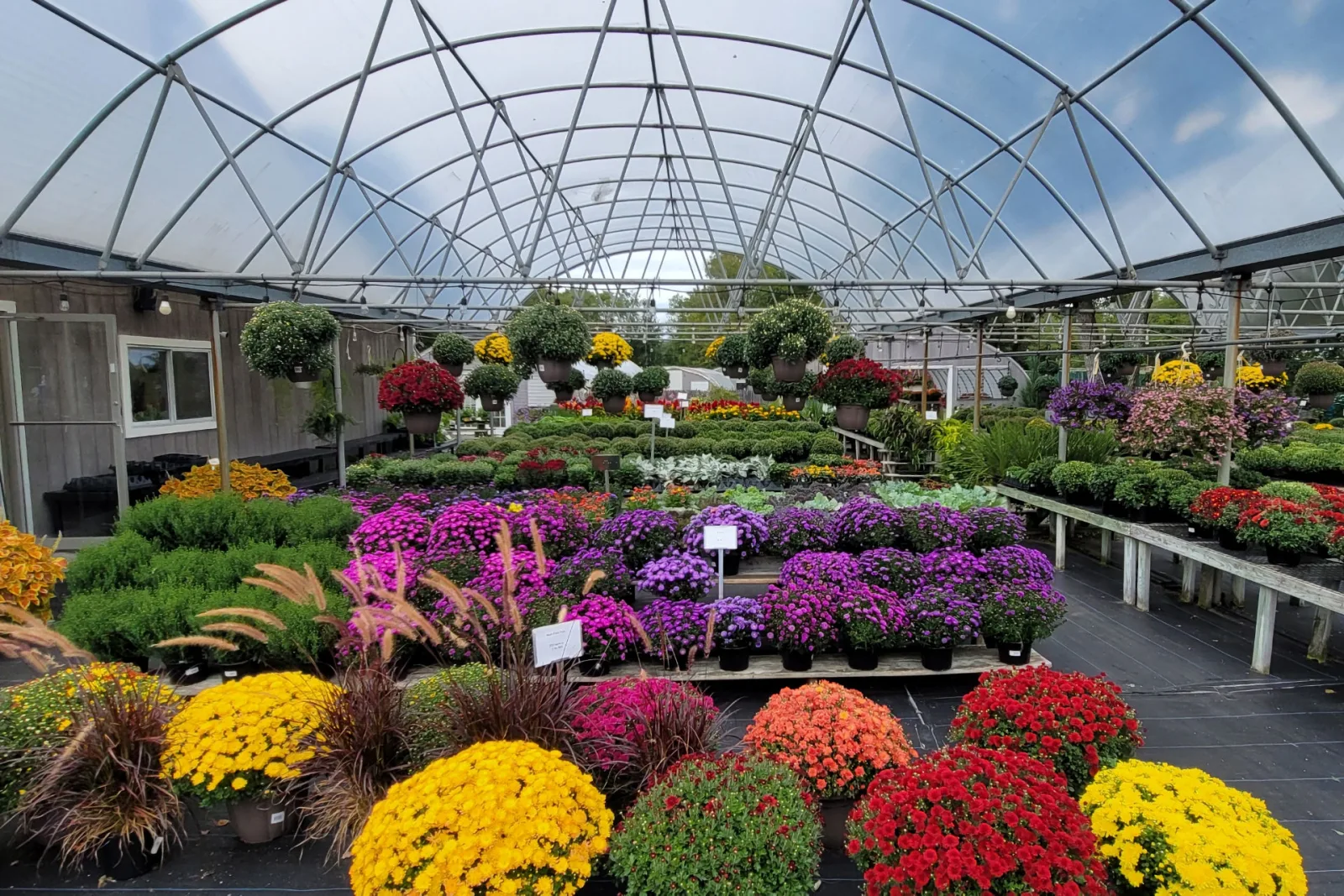 Patceez Home Garden Center photo 3