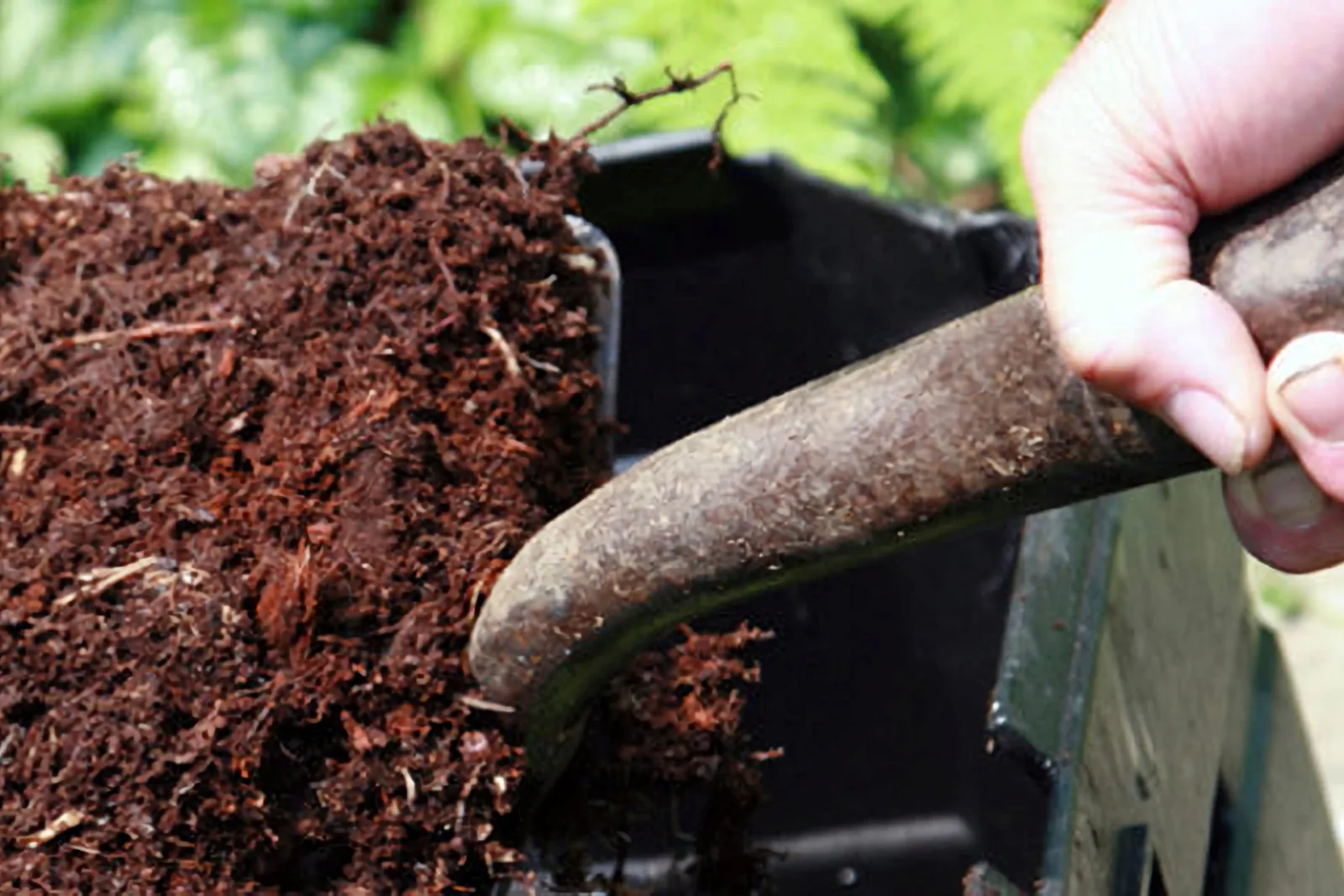 Patceez Home Garden Center photo 6