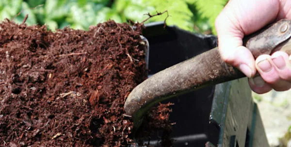 Patceez Home Garden Center photo 11