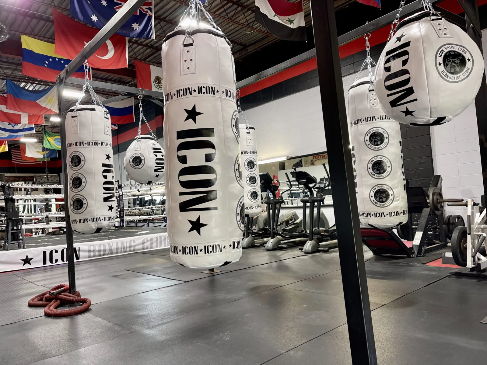 ICON Boxing Club and Fitness