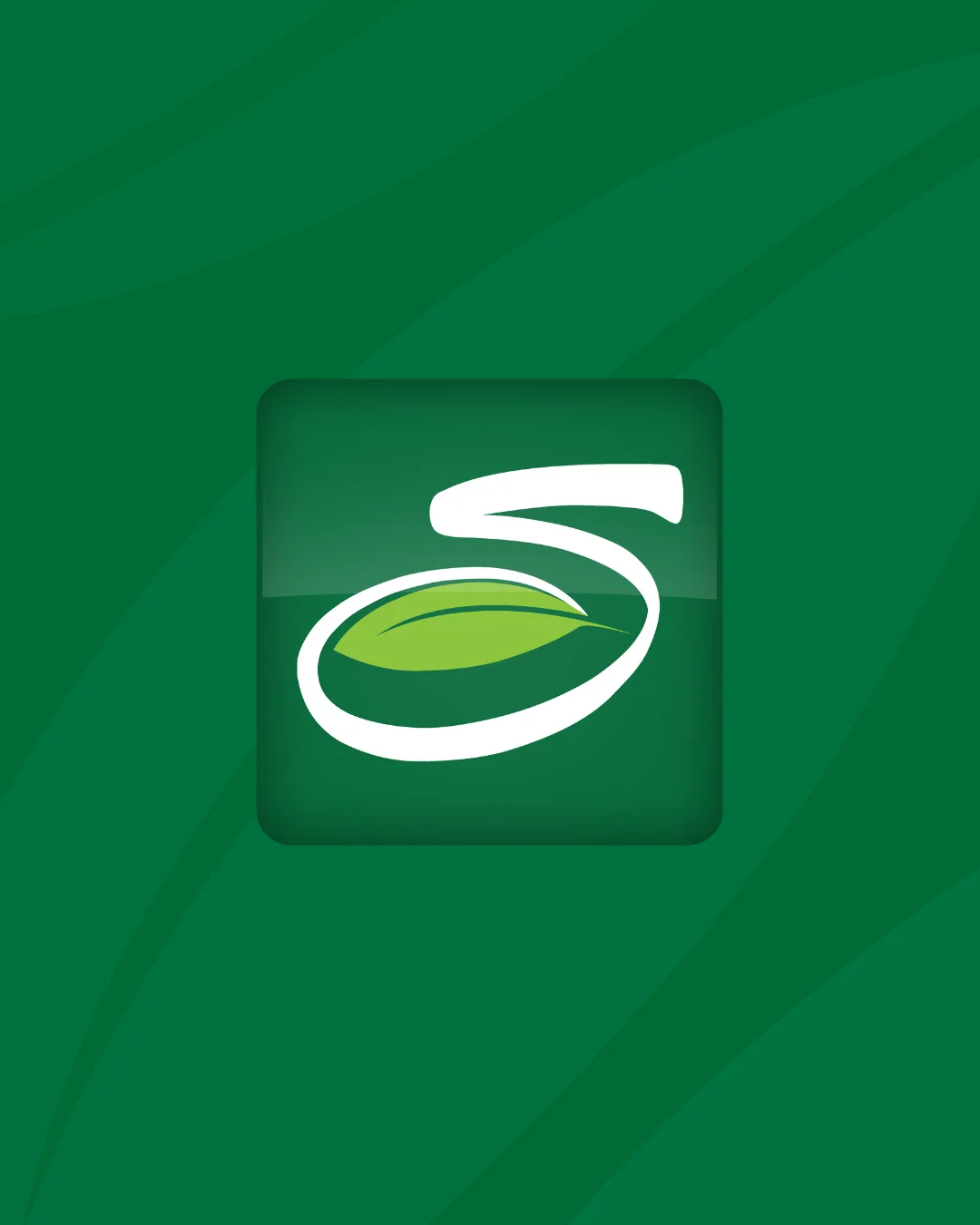 Seabra Foods