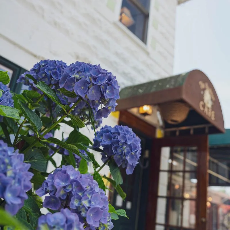 The Beehive Cafe photo 11