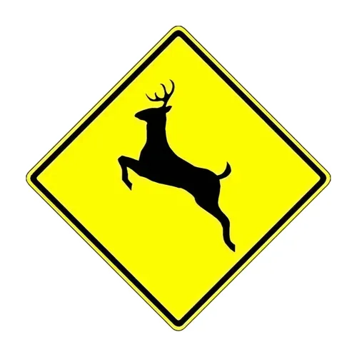 Traffic Signs and Safety photo 11