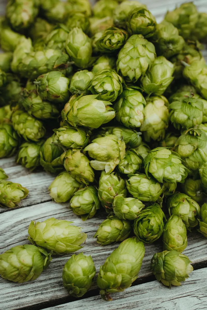 Trágmar Ale Works photo 6