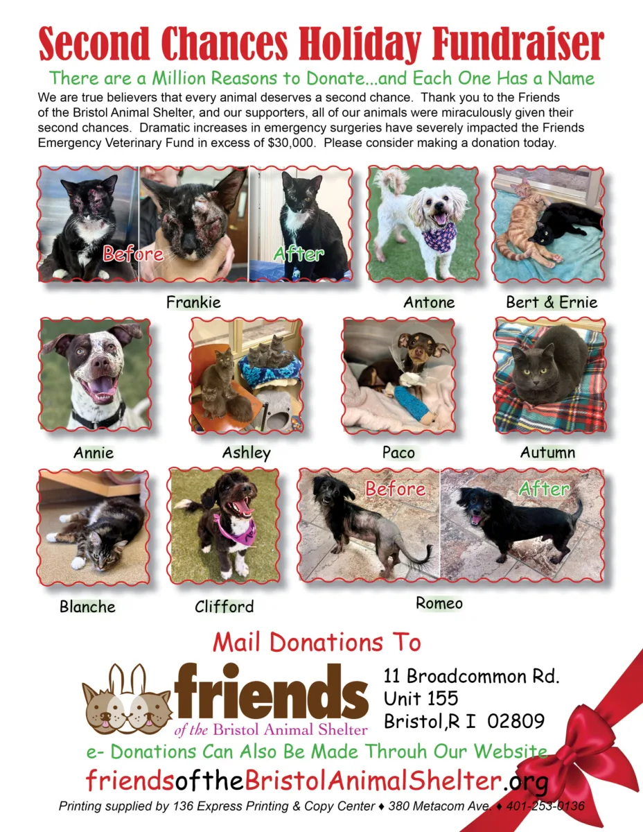 Bristol Animal Shelter