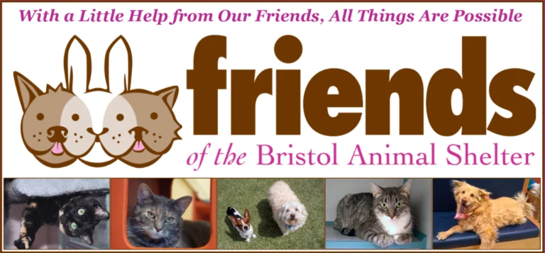 Bristol Animal Shelter logo