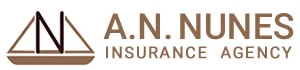 A N Nunes Agency logo