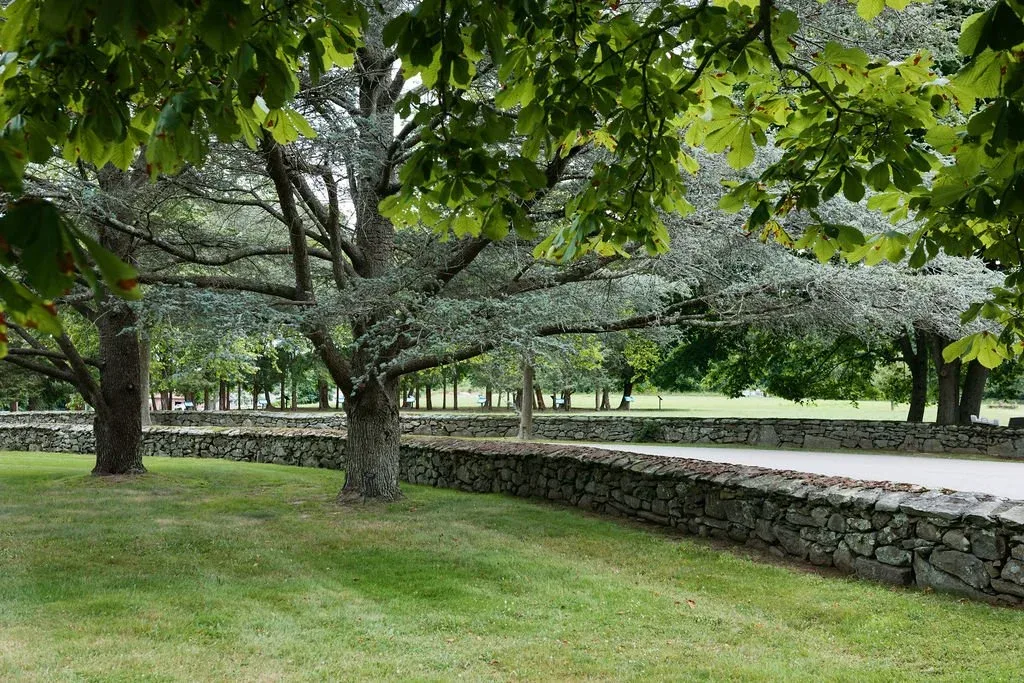 Mt Hope Farm photo 9