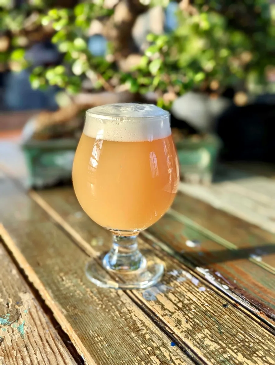 Pivotal Brewing Company Bristol photo 3