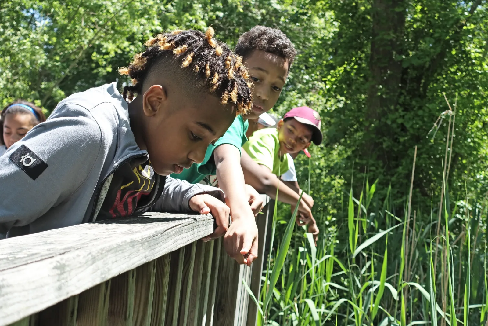 Audubon Nature Center and Aquarium photo 8