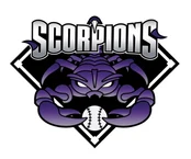 365 Sports RI logo