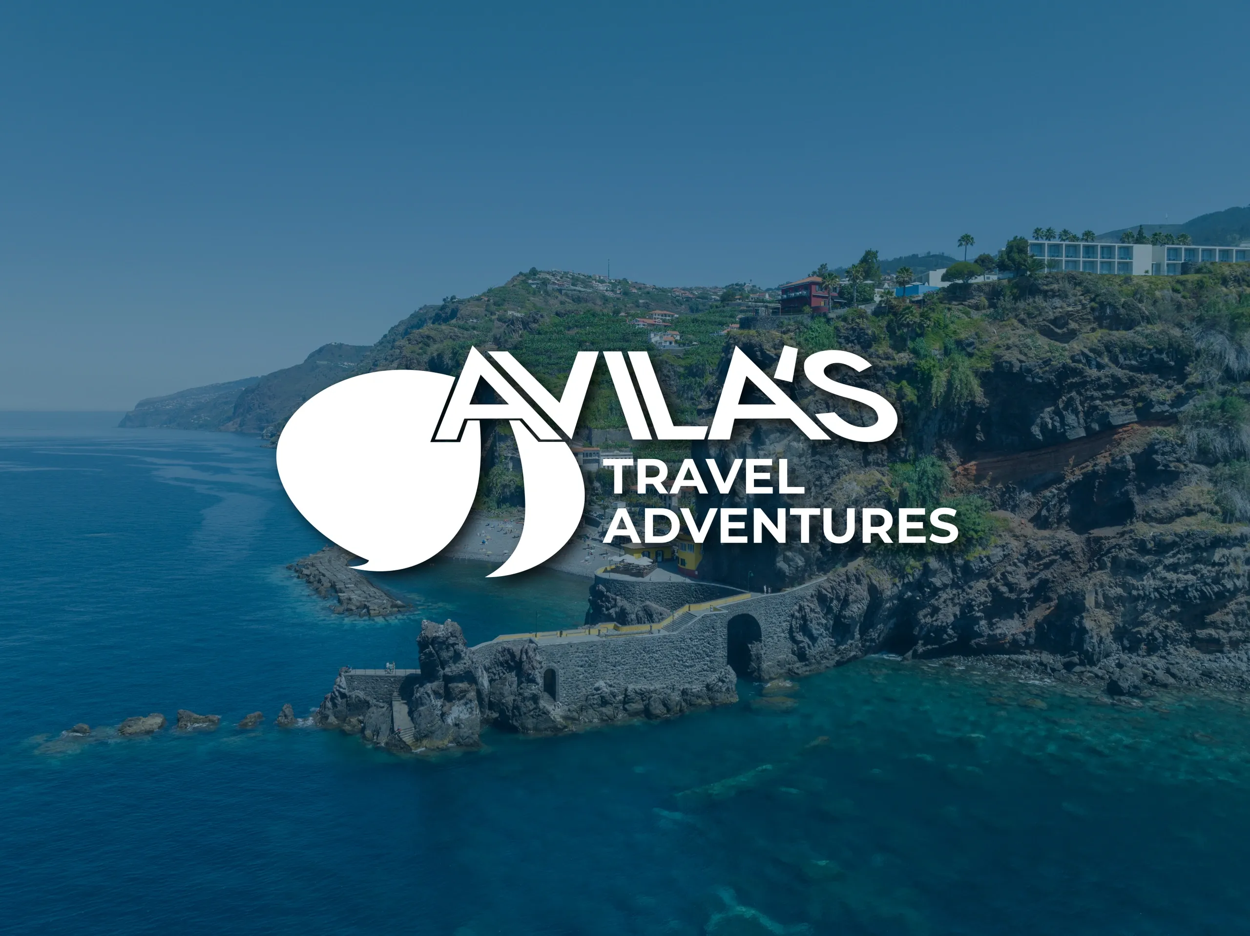 Avila Services
