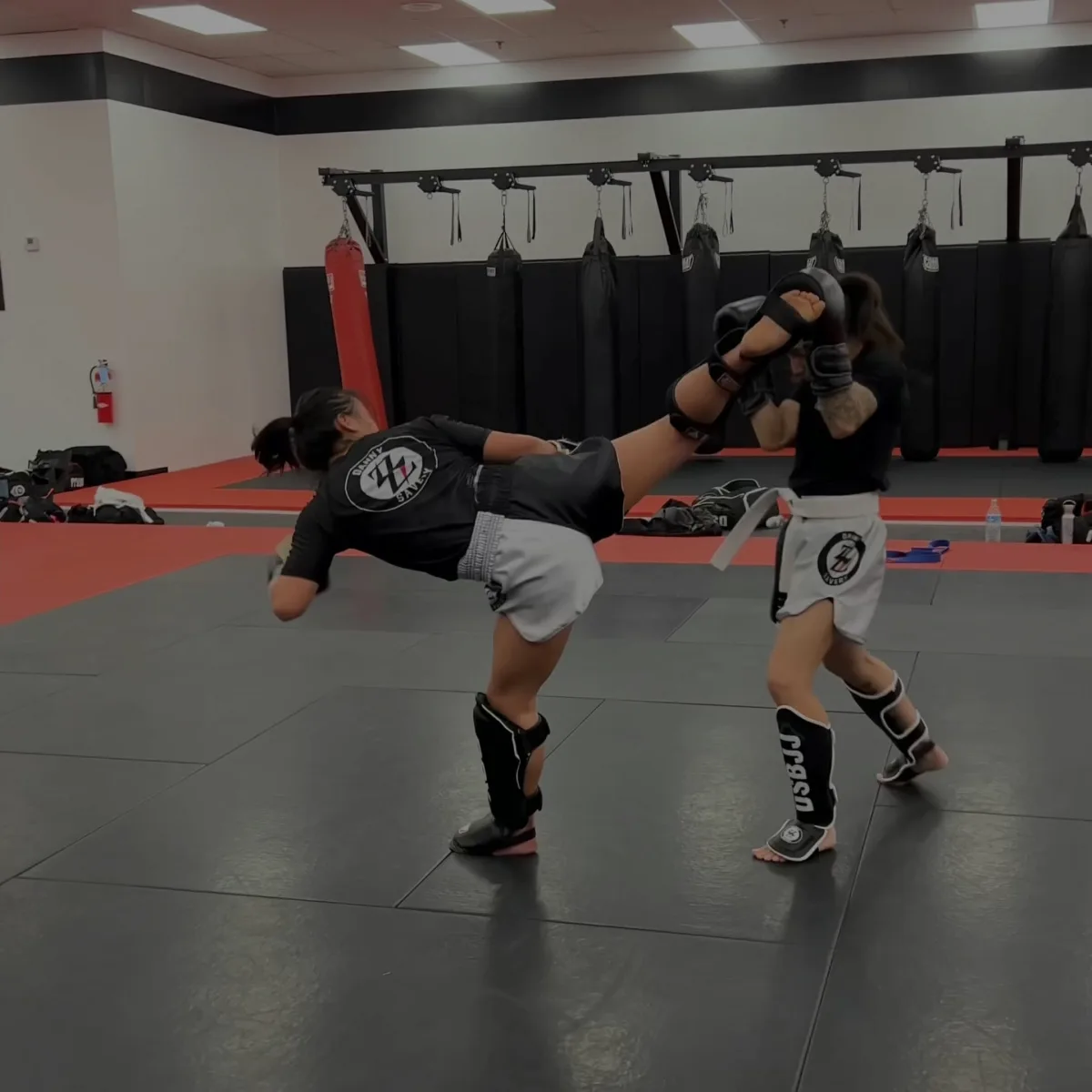 Danny Savery Brazilian Jiu Jitsu photo 2