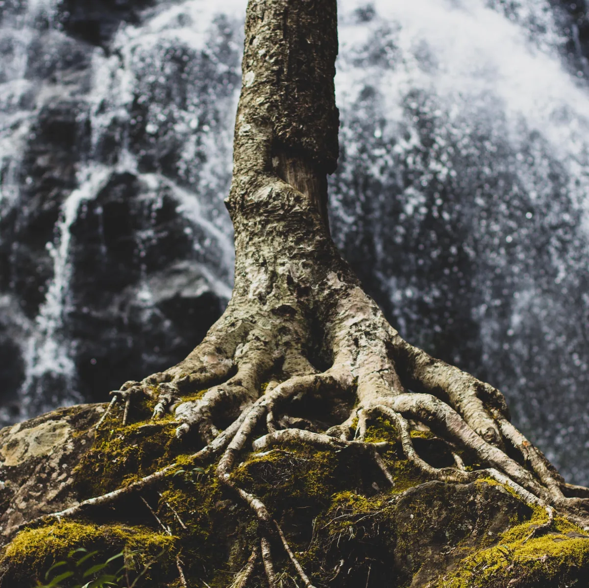 Harbor Integrative Health photo 6