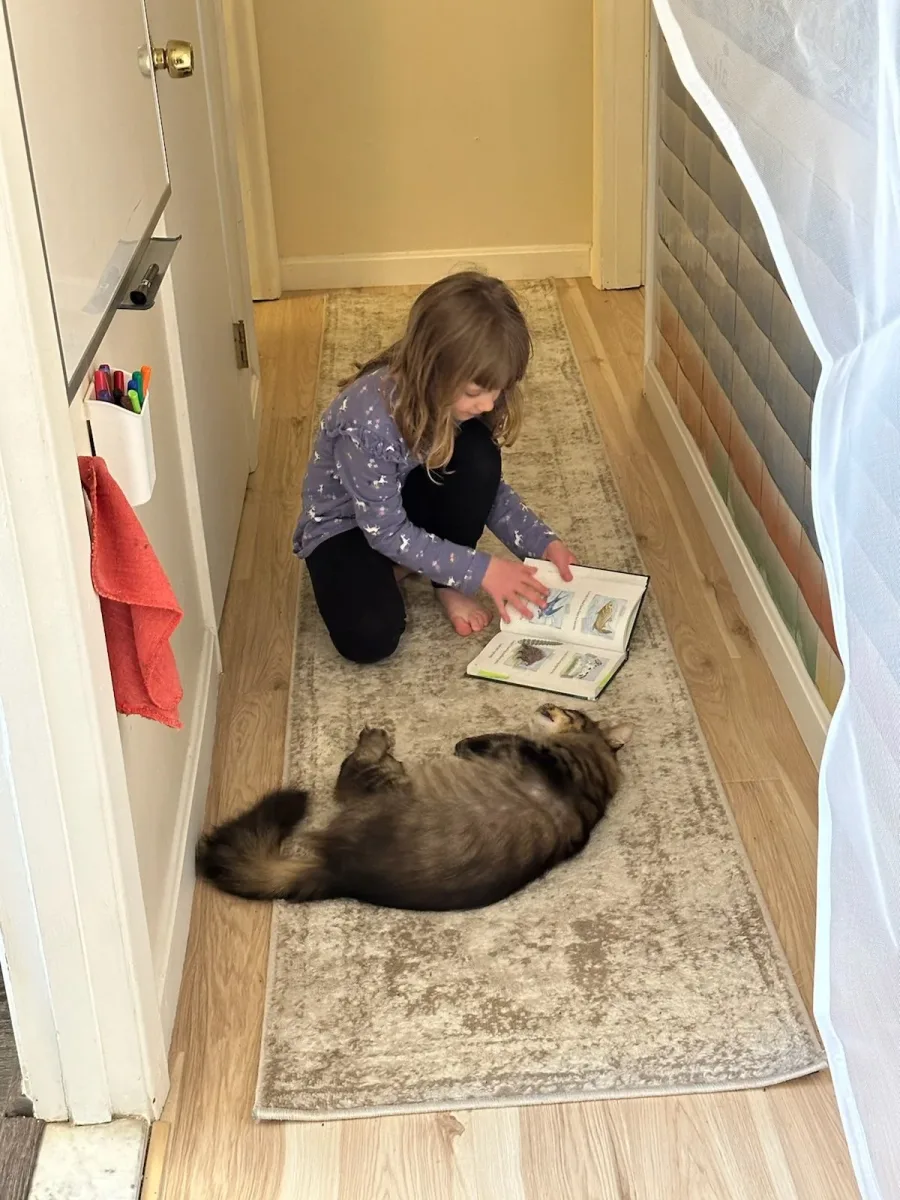 Kali's Cottage Pet Boarding photo 8