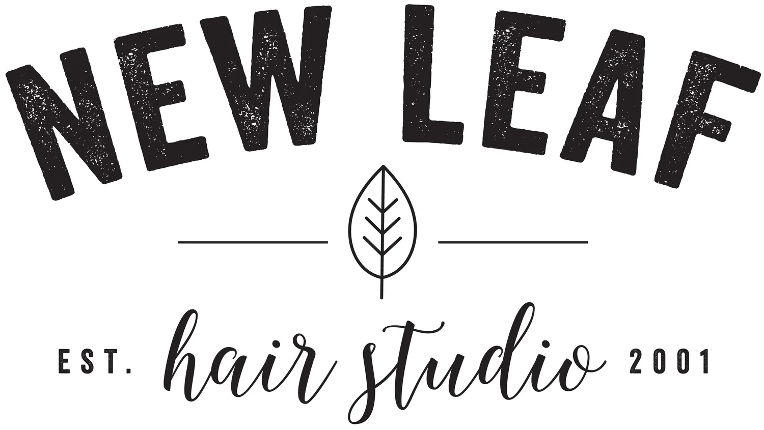 New Leaf Hair Studio photo 2