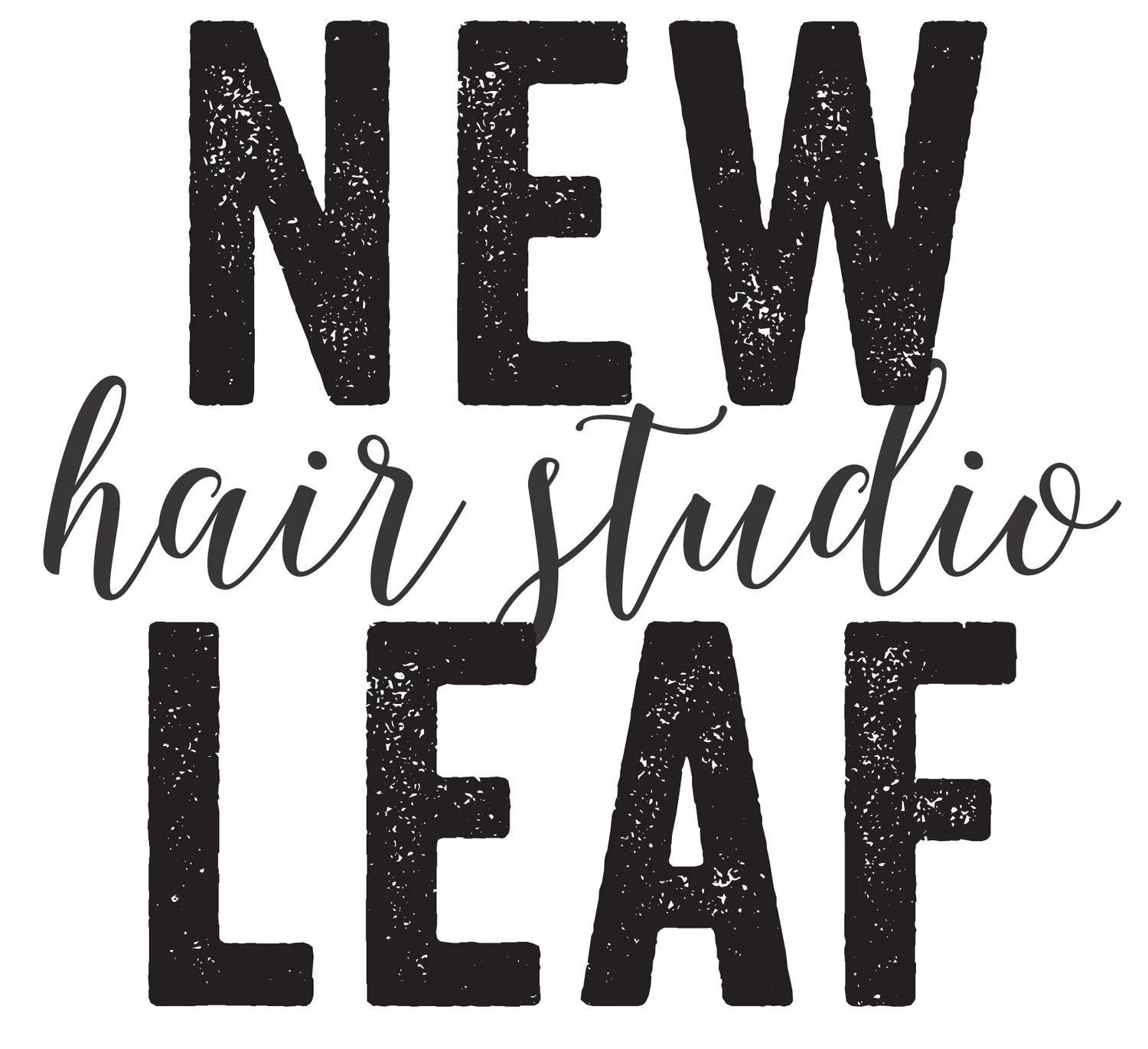 New Leaf Hair Studio photo 3