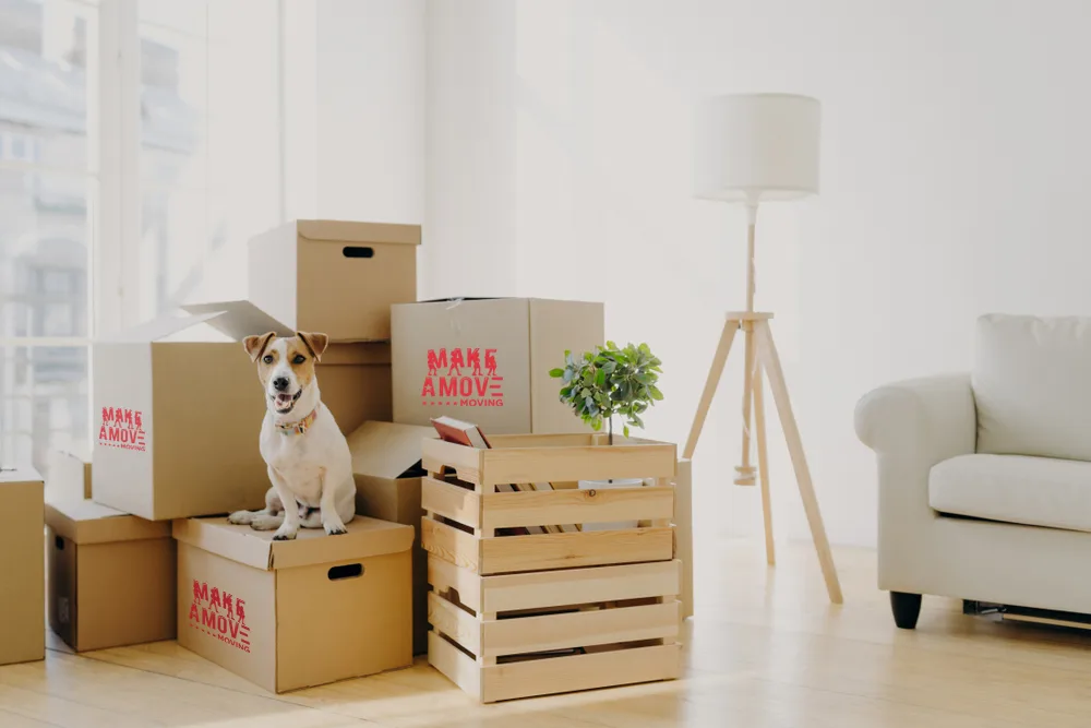 Make A Move Moving - NYC Moving & Storage Company photo 6