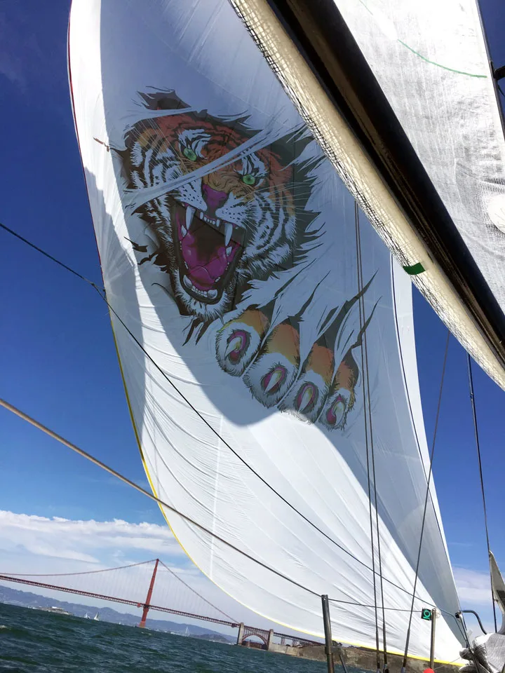 Thurston Quantum Sails photo 7