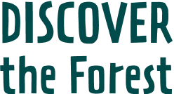 East Bay Bike Path, Start/Finish logo