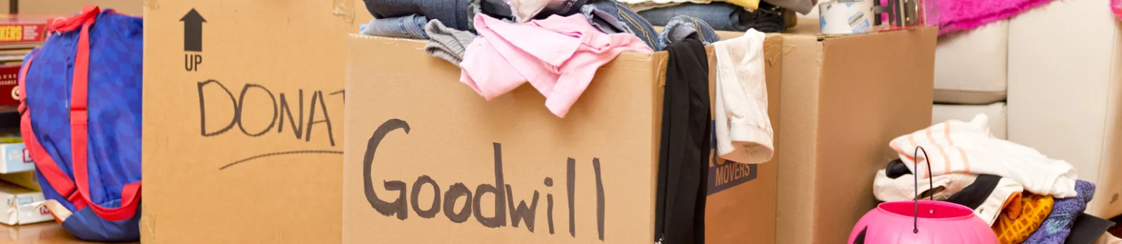 Goodwill