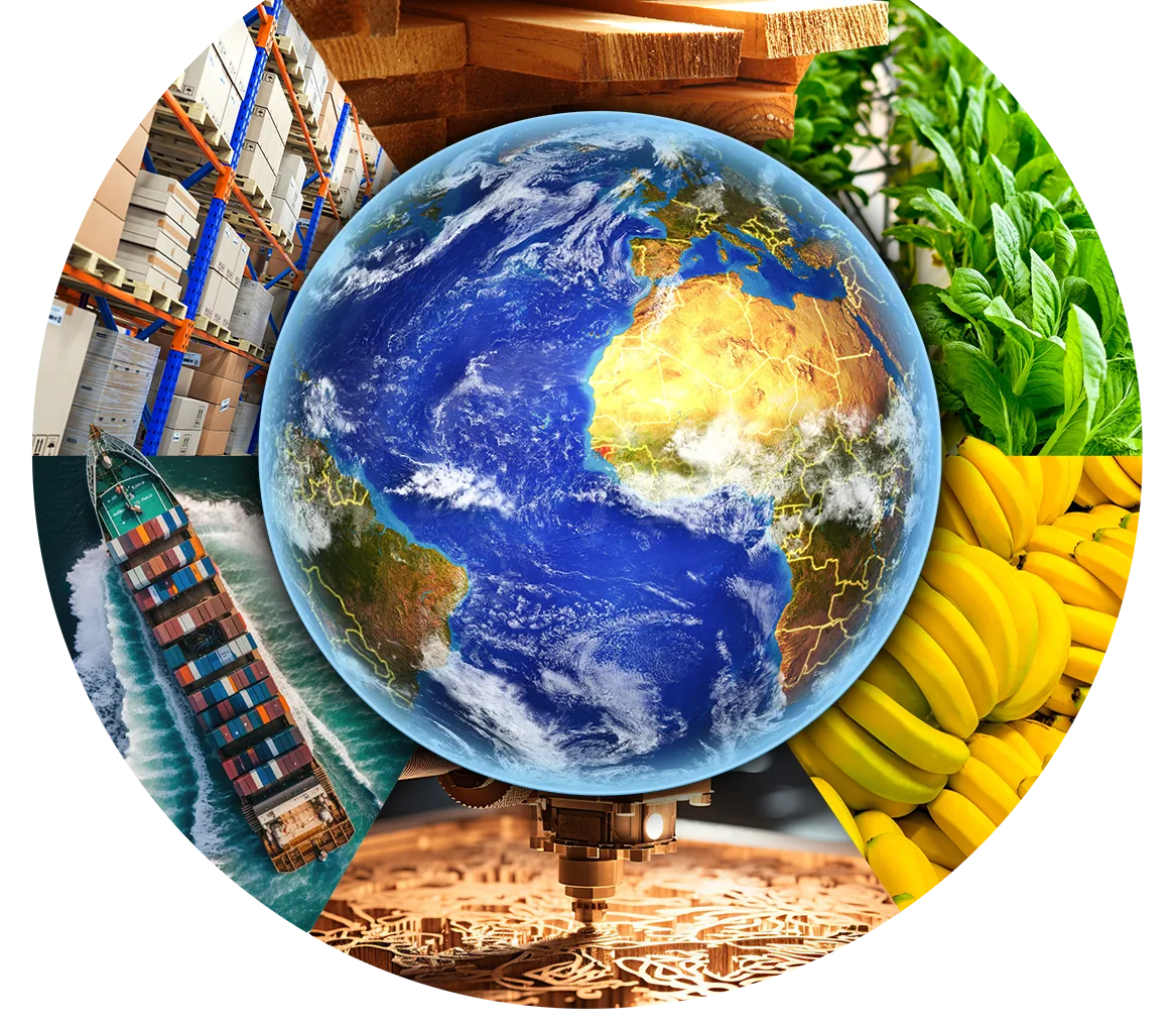 Ochroma Group