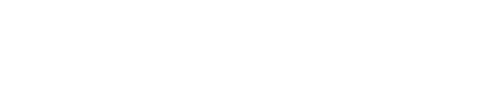 Sealegs North America logo