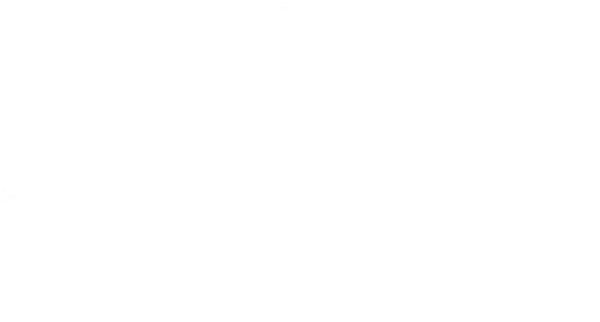Sims & Sons Electric and Plumbing logo