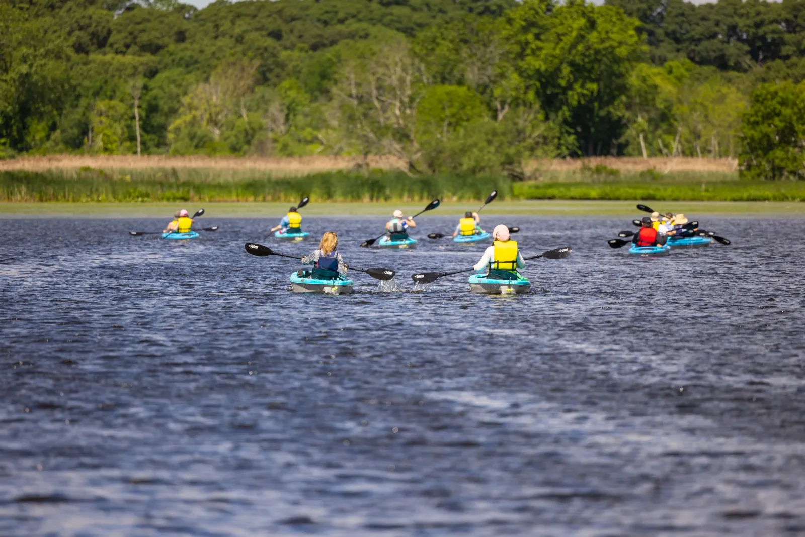 Explorer River Tours photo 6