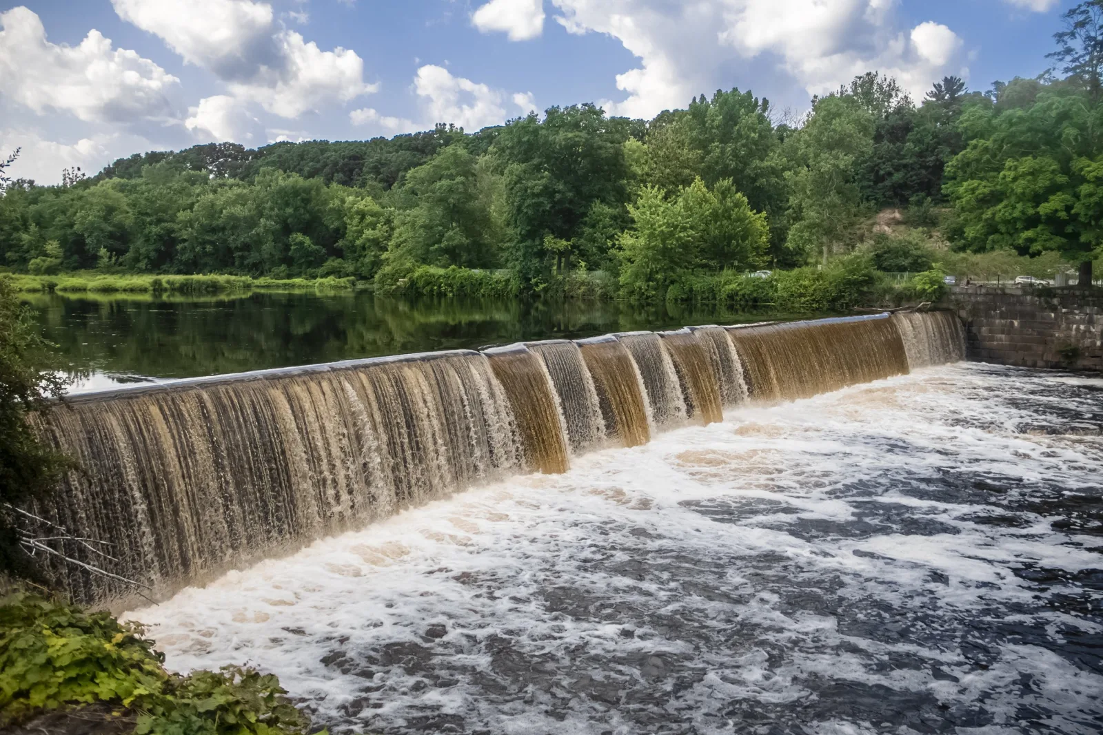 Explorer River Tours photo 5