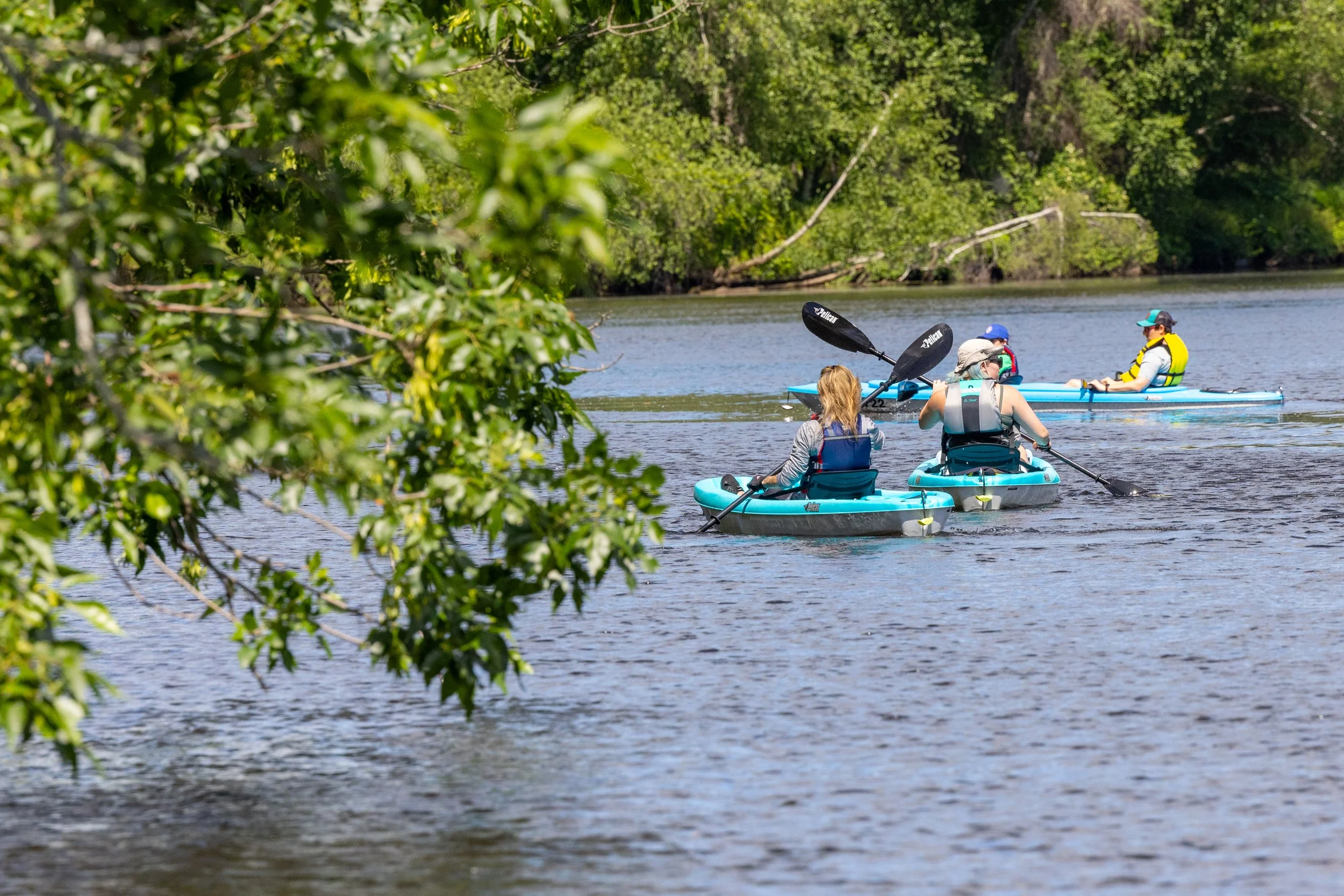 Explorer River Tours photo 2