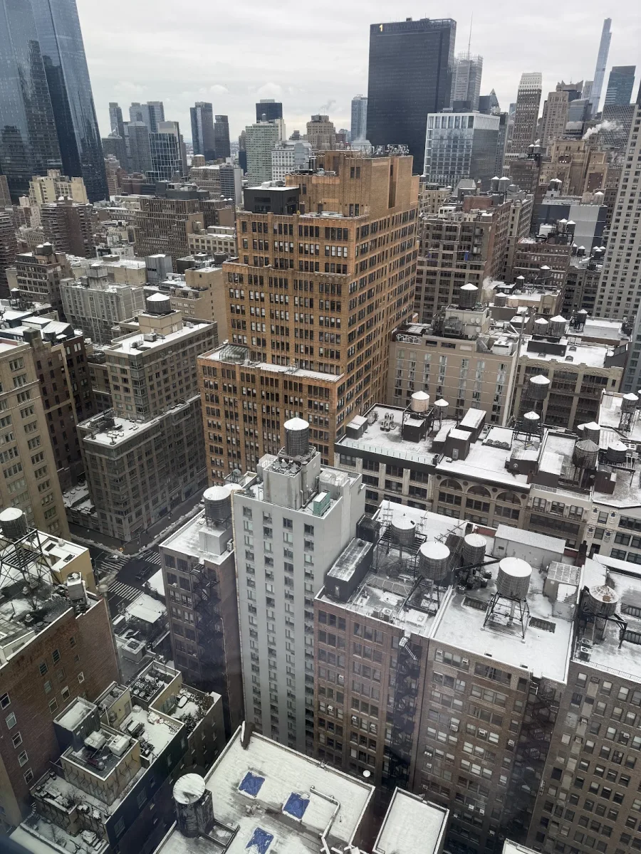 The Chelsean New York Hotel photo 5