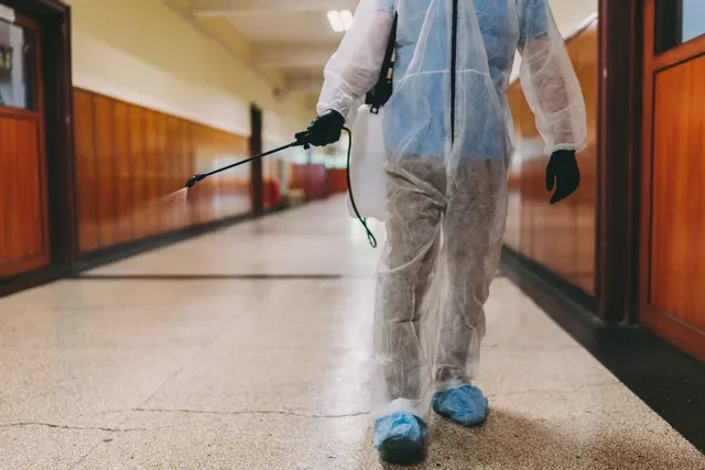 Fogo Janitorial Cleaning Corp photo 6