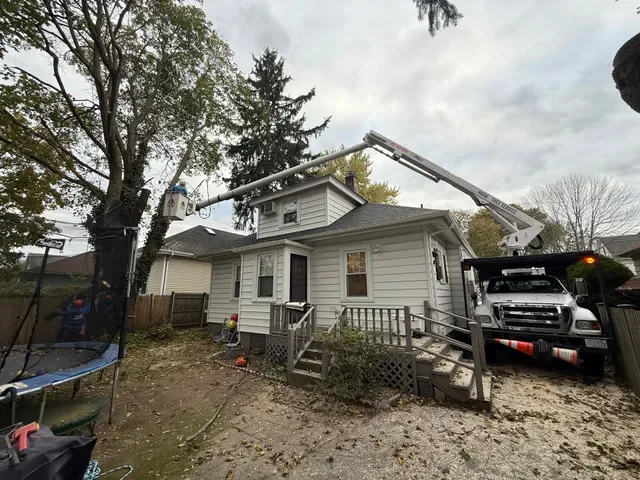 M&M Tree Service photo 9