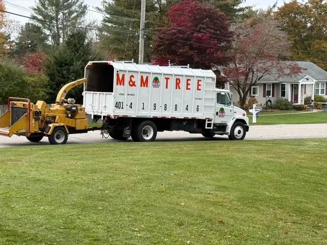 M&M Tree Service photo 6