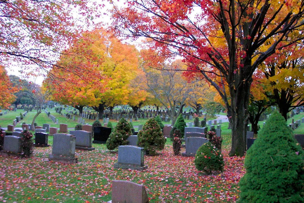 Moshassuck Cemetery photo 4