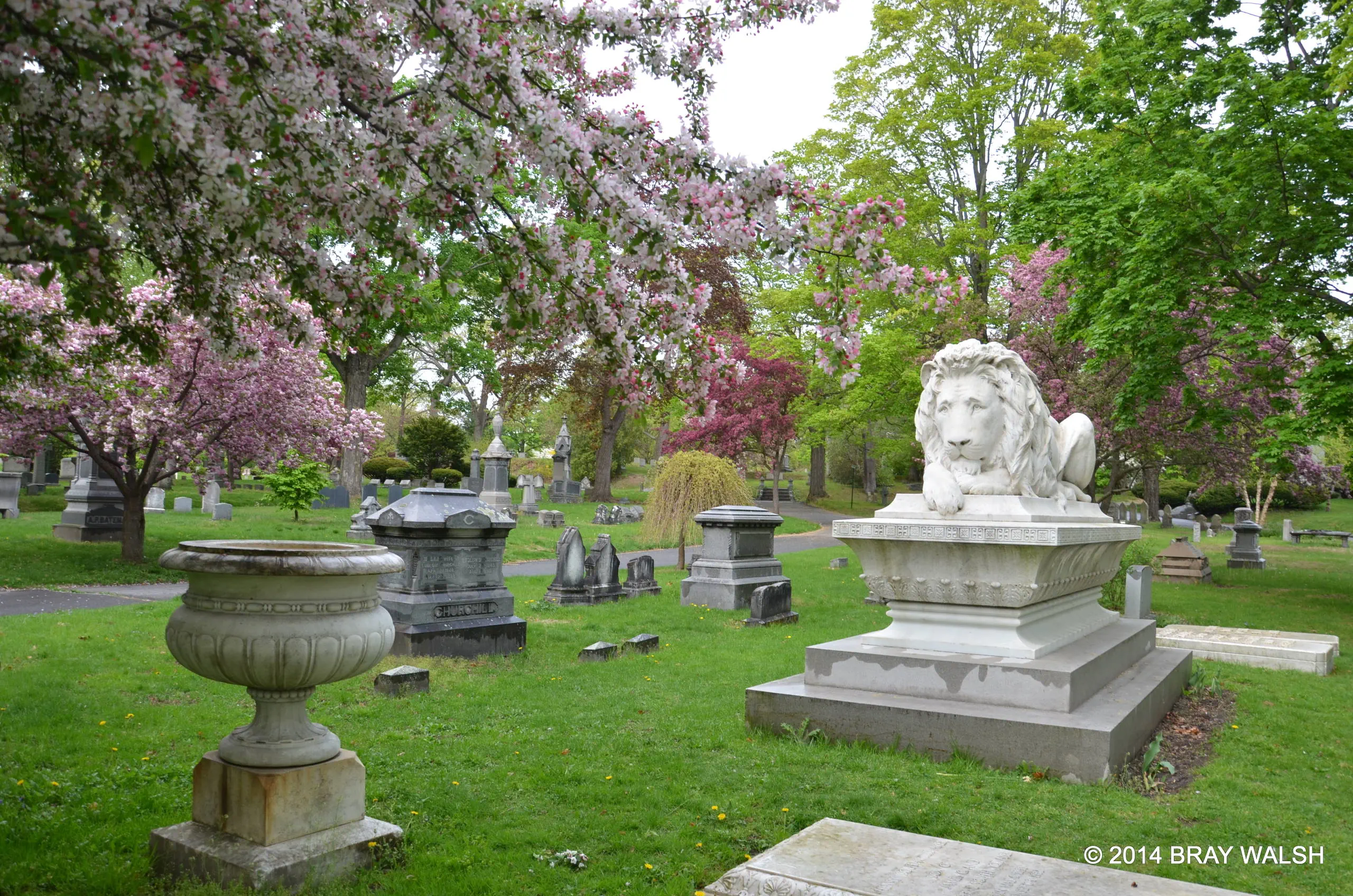 Moshassuck Cemetery photo 3