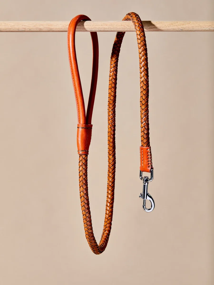 Pupstudio - Midtown photo 10
