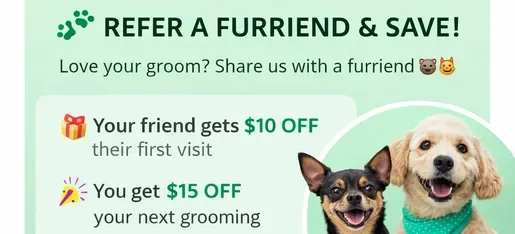NYC Pet Grooming photo 6