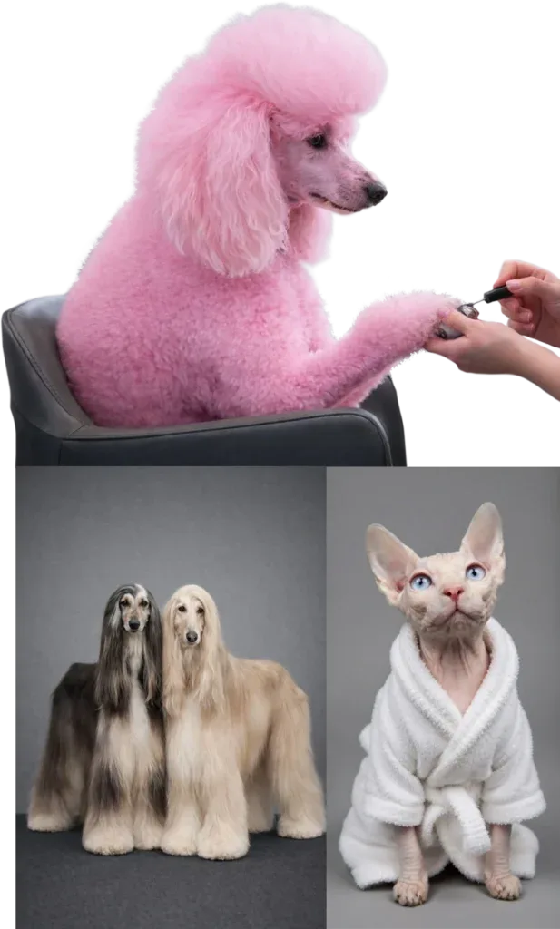Imperium Grooming Pet Spa photo 10