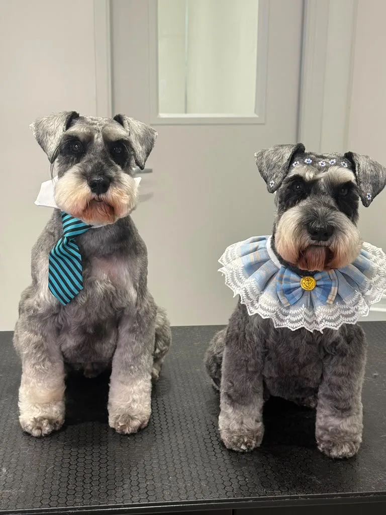 Imperium Grooming Pet Spa photo 2