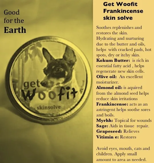 Pet Groom New York City in Home - Dog & Cat Grooming photo 4
