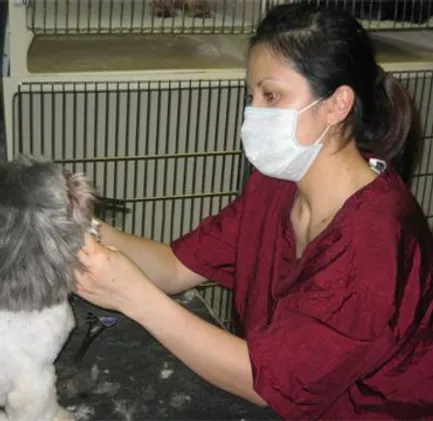Le Pet Spa photo 2