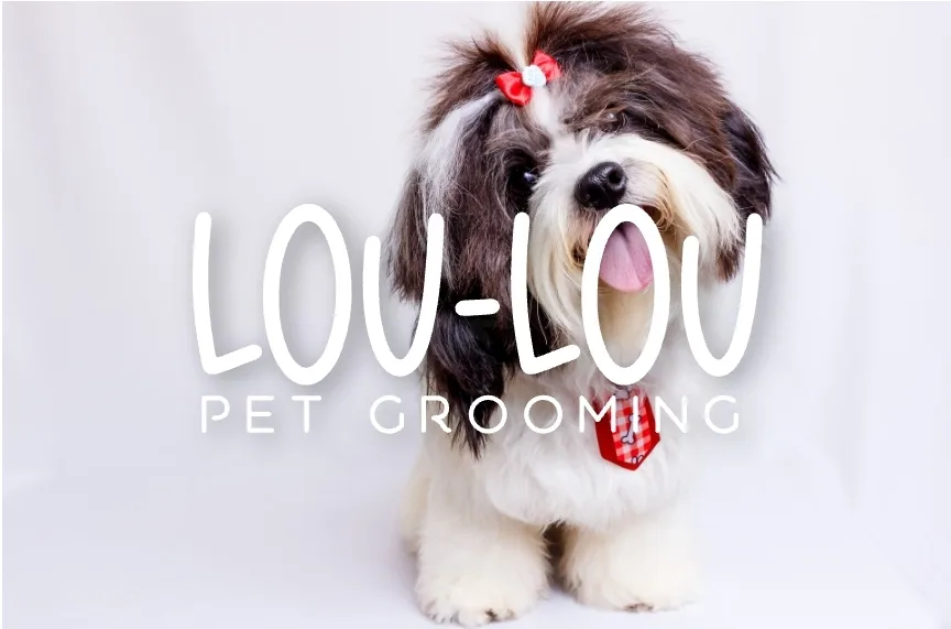 Lou-Lou Pets Grooming In-home Services photo 2