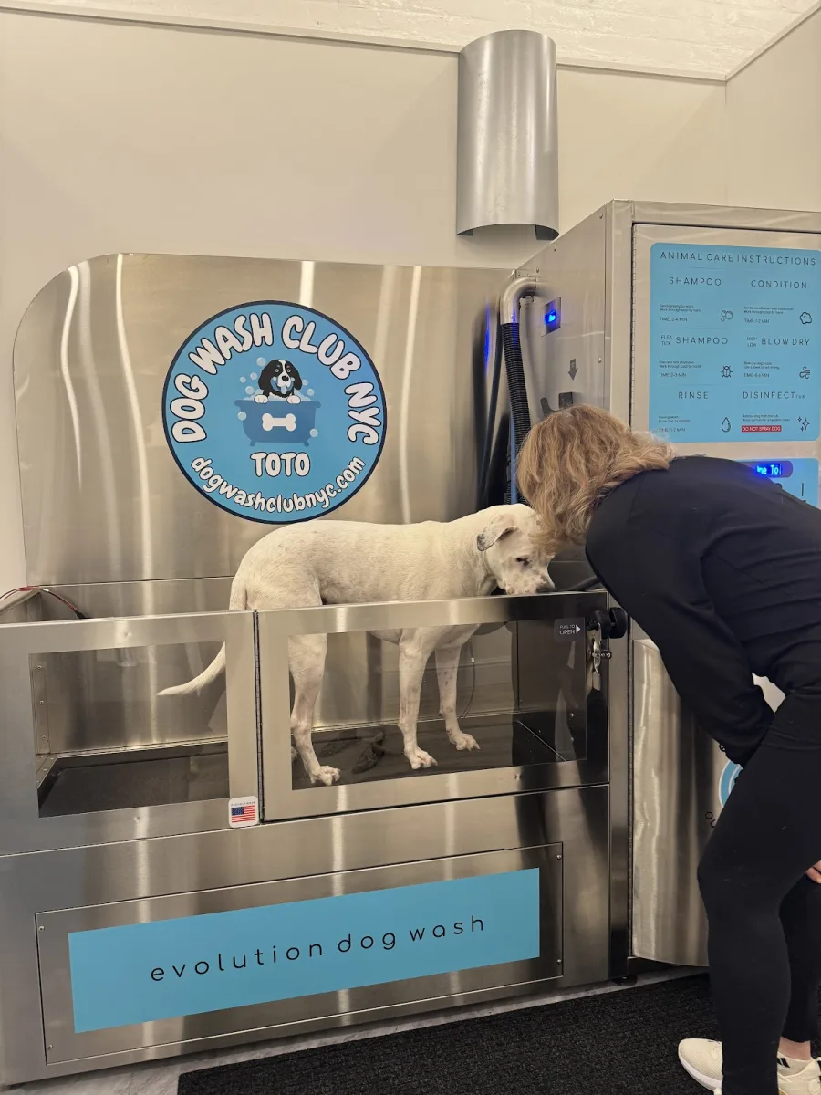 Dog Wash Club NYC
